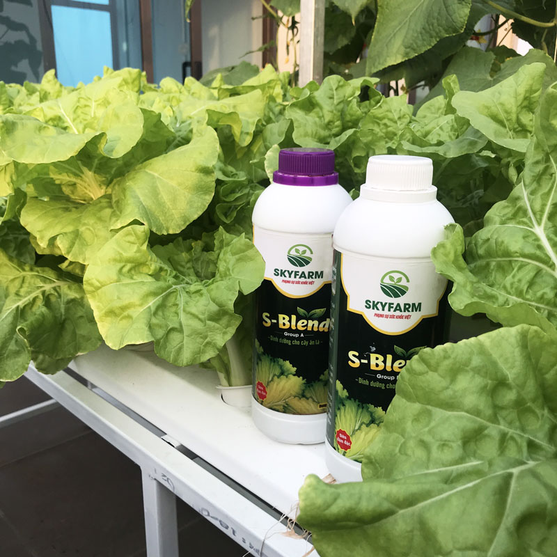 Cặp dinh dưỡng thủy canh S-Blend 1L dành cho rau ăn lá