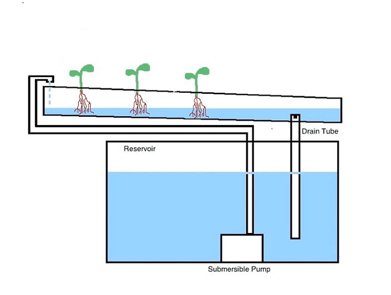 Mực nước trong ống thủy canh bao nhiêu là tối ưu? Cách thiết kế hệ thống thuỷ canh tại nhà