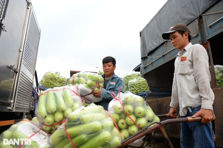 10.000 đồng mua được 2-3 cọng rau tại các chợ ở TPHCM - 3