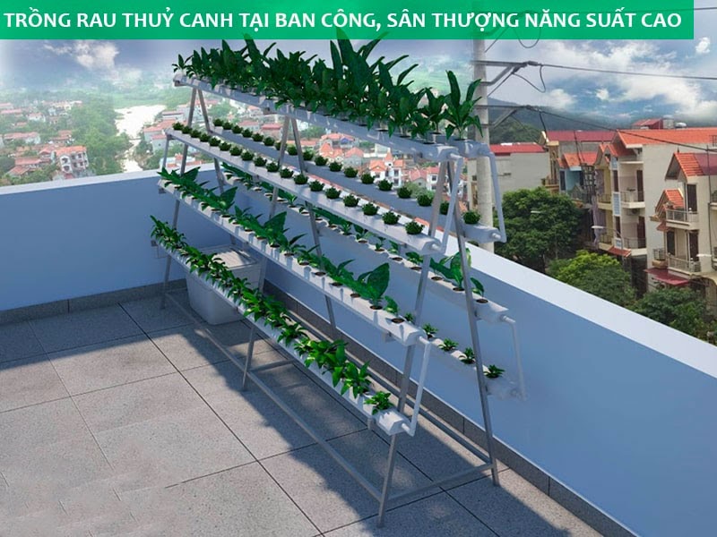 Đâu là cách trồng rau trên sân thượng có mái che hiệu quả nhất